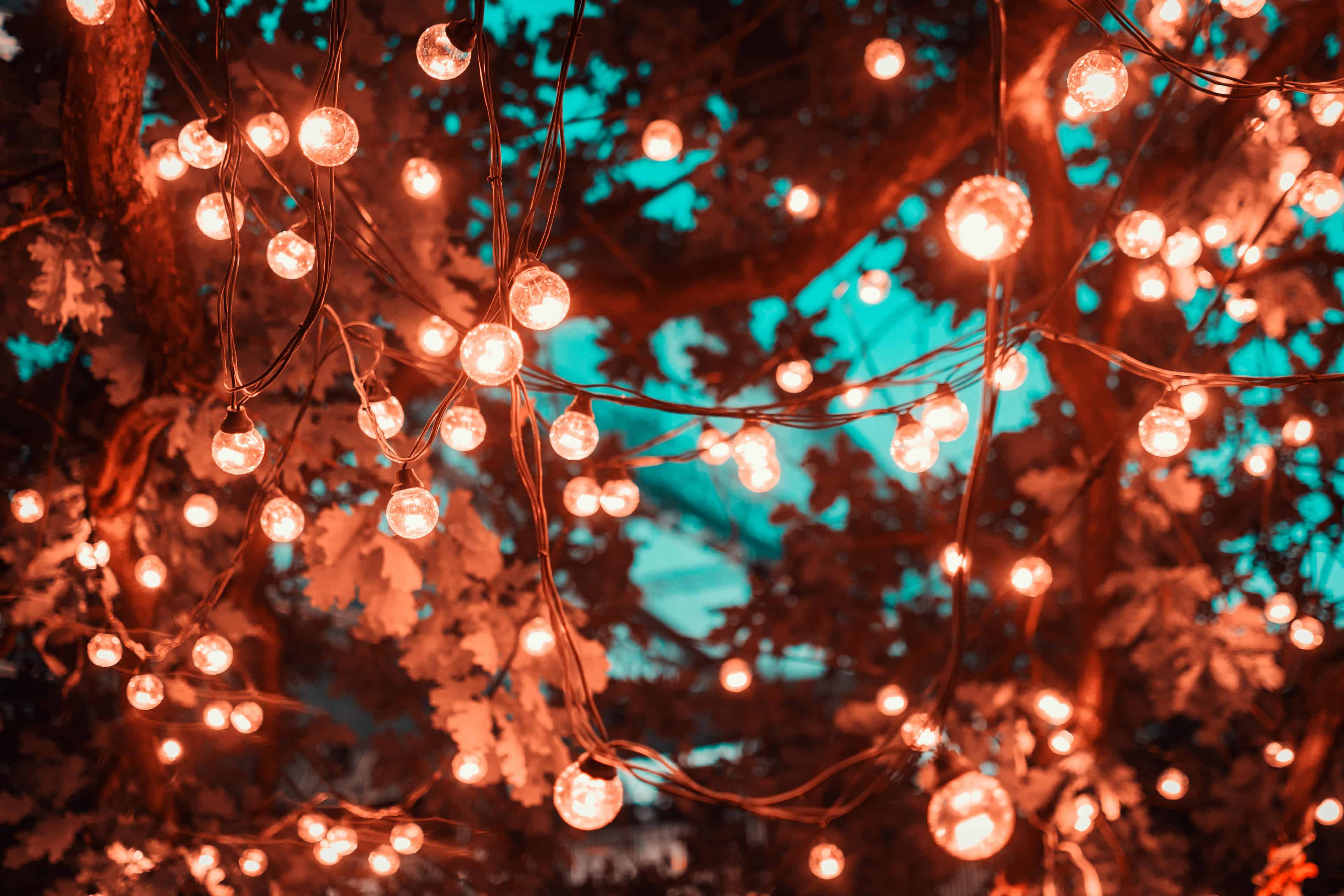 Landscape Lighting image