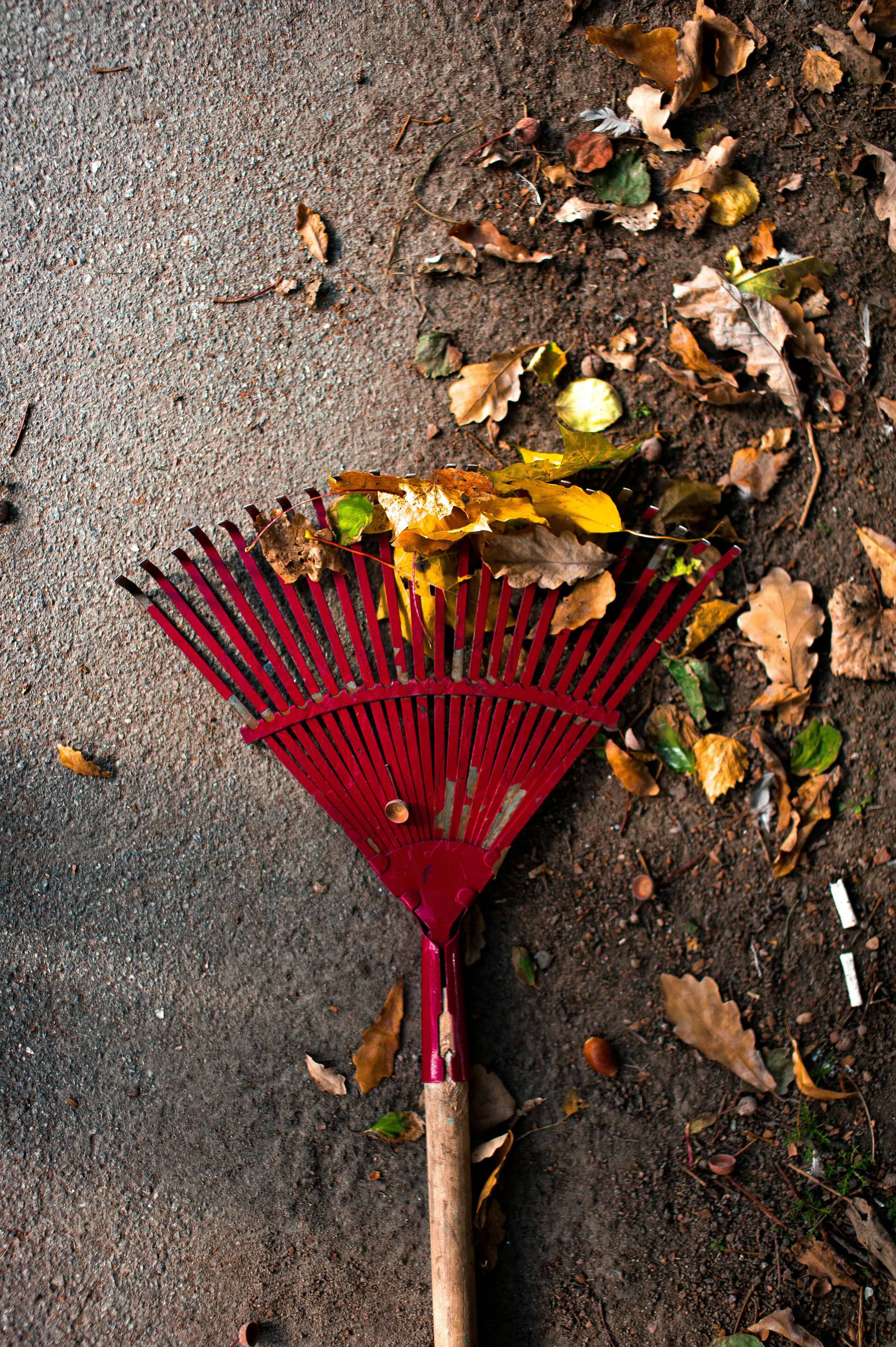 Leaf Removal image