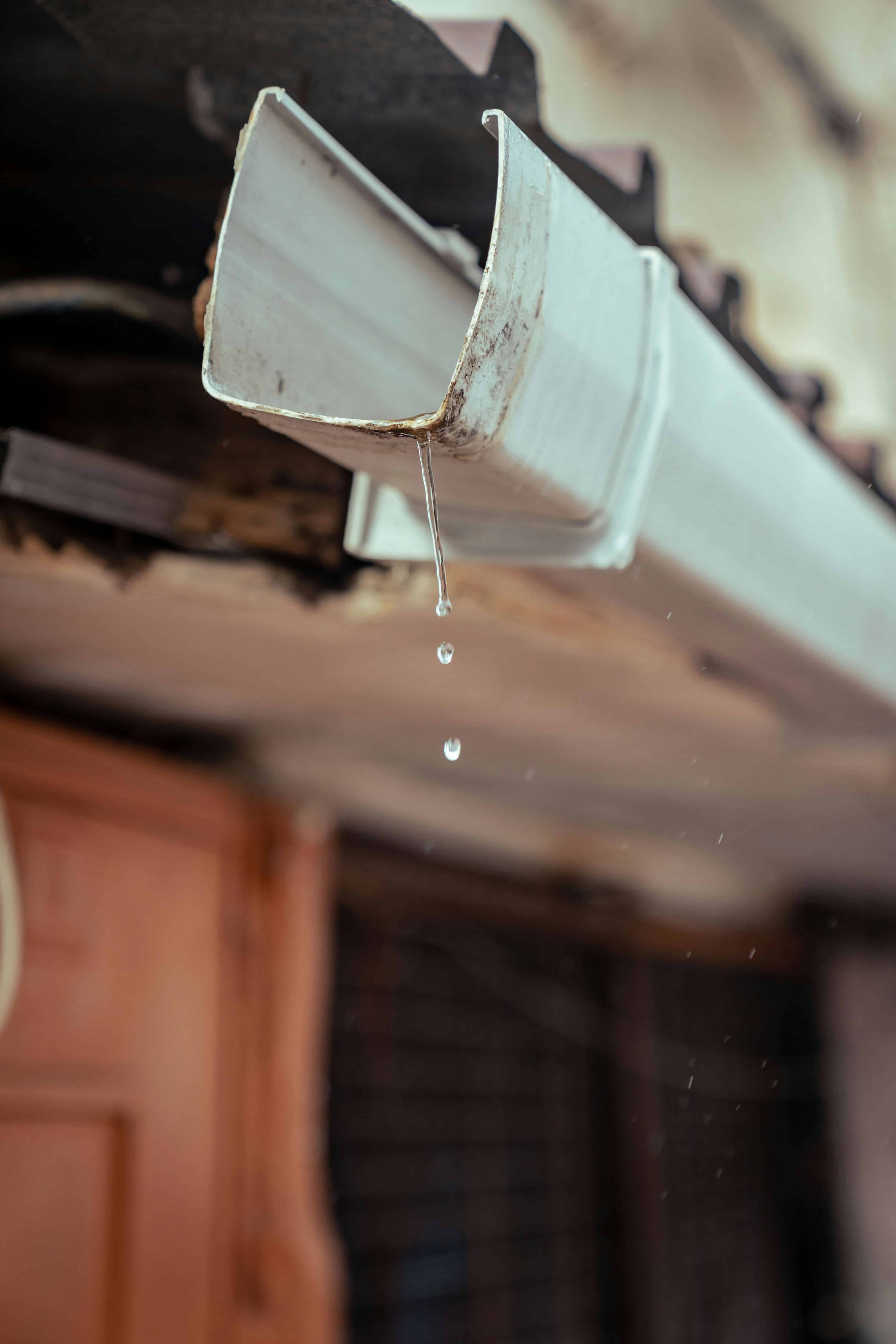 Gutter Cleaning image