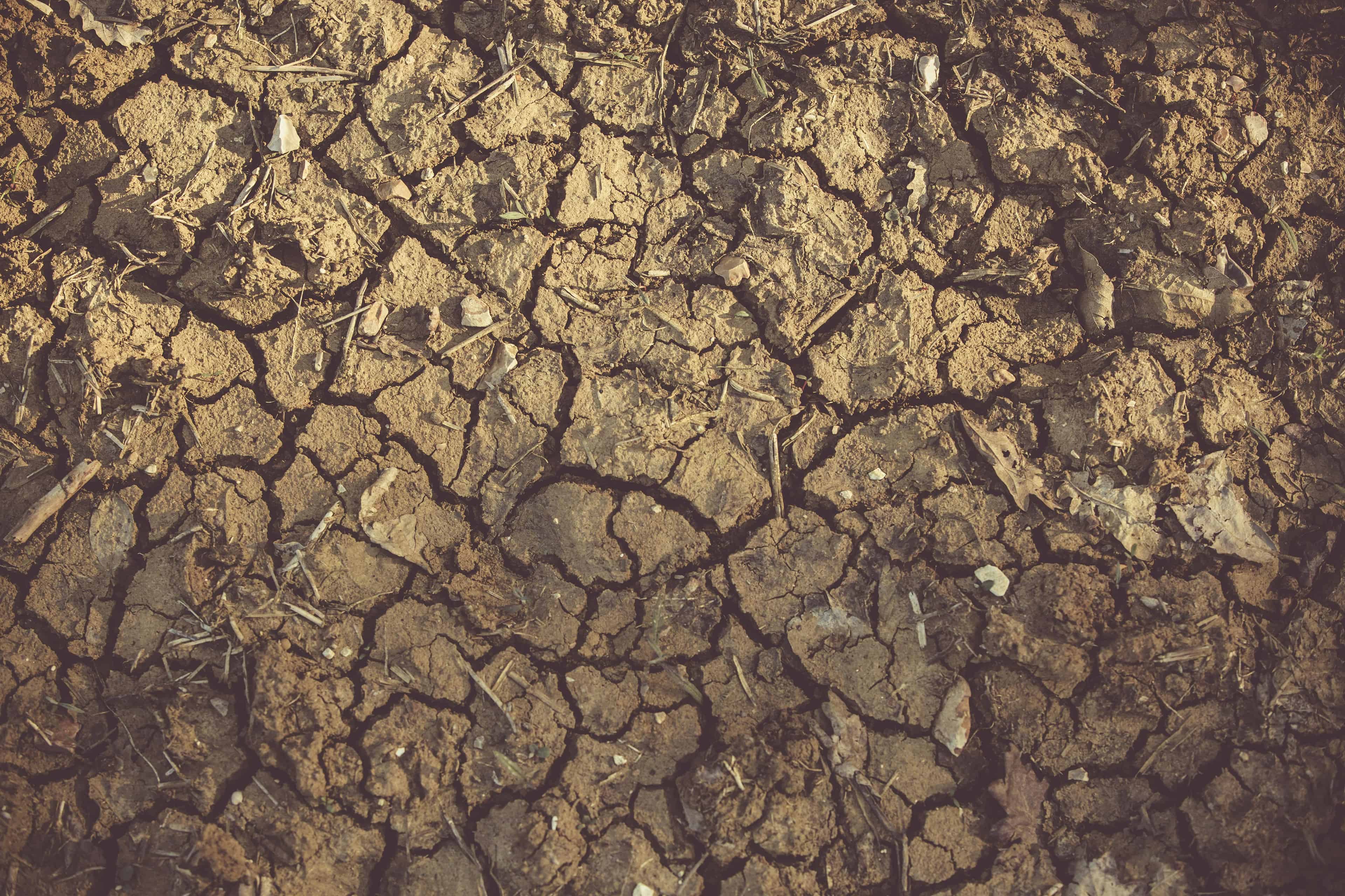 Erosion Control Solutions image