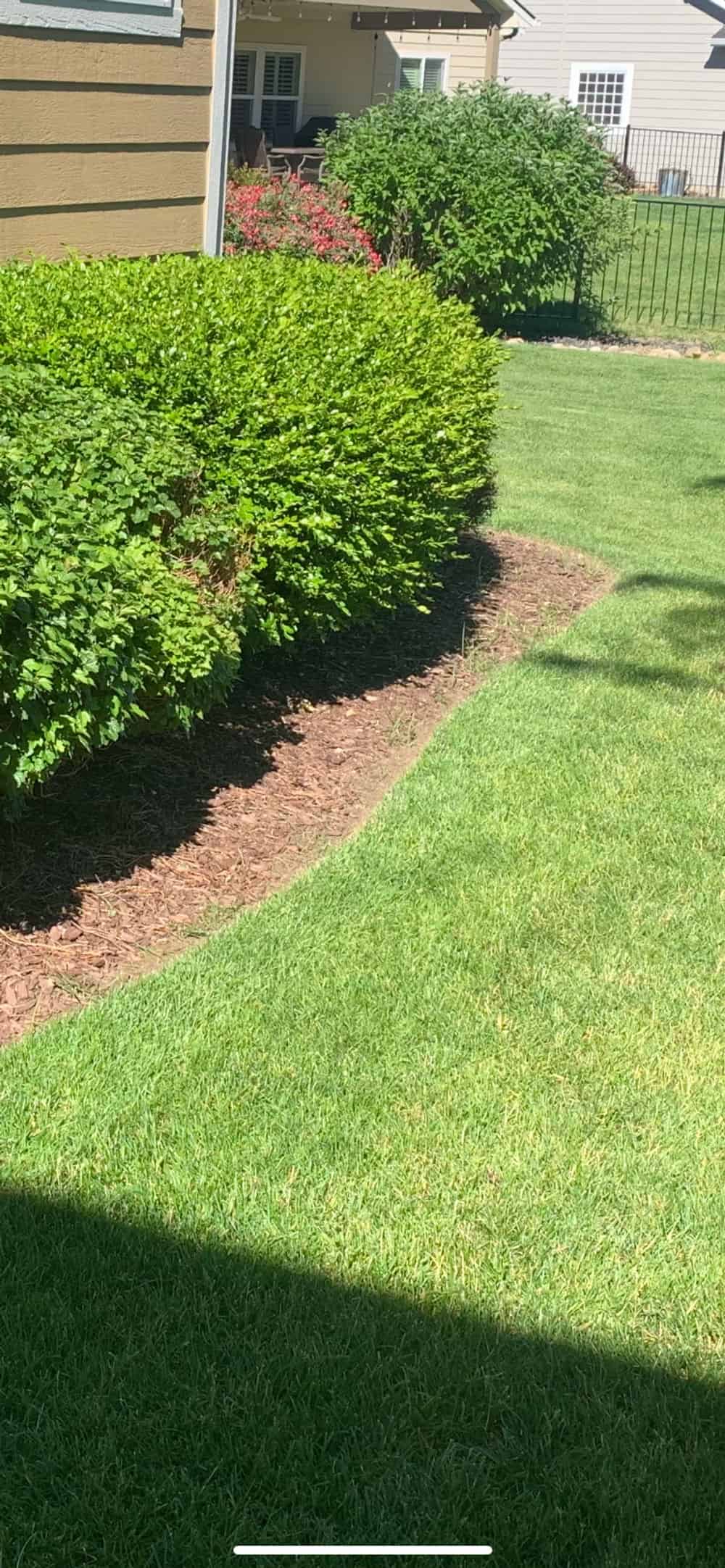 Edging and Curbing image