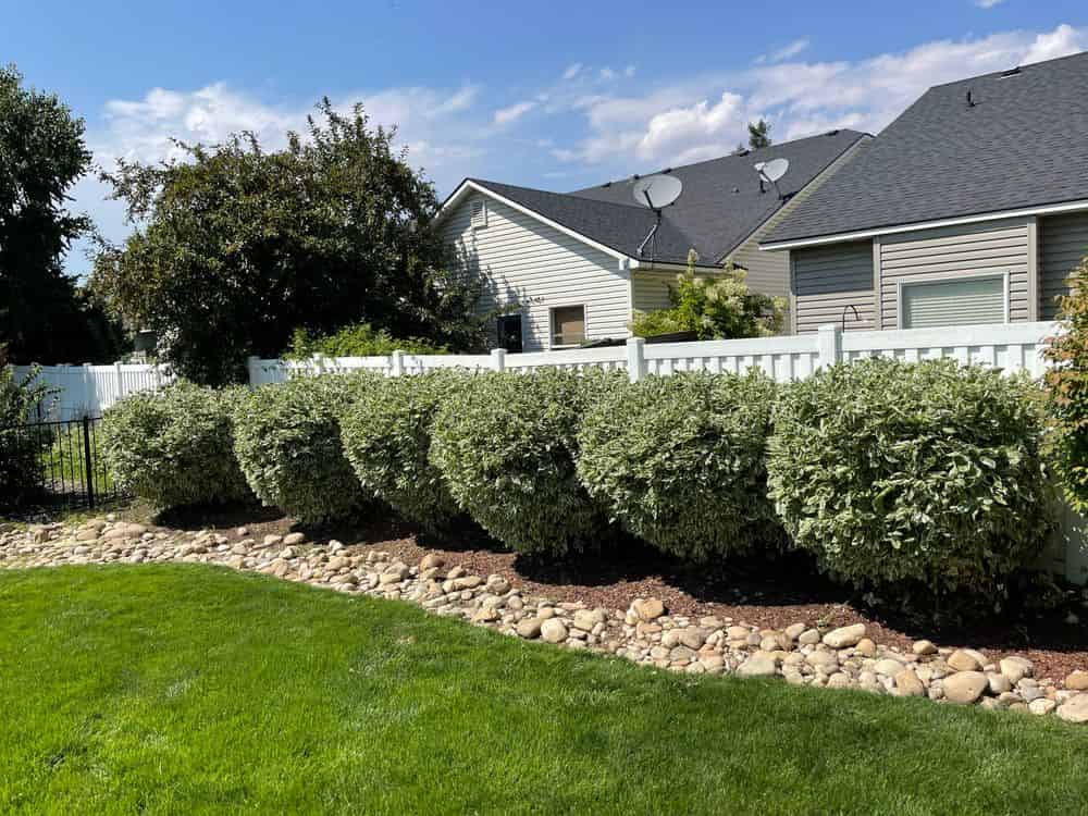 Mulch Installation image