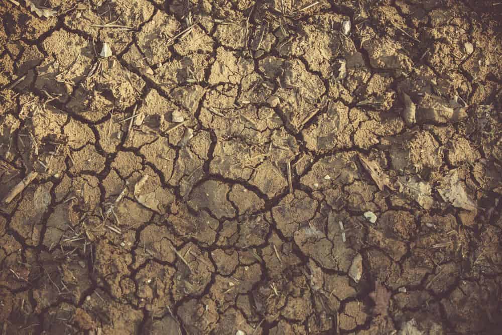 Erosion Control Solutions image