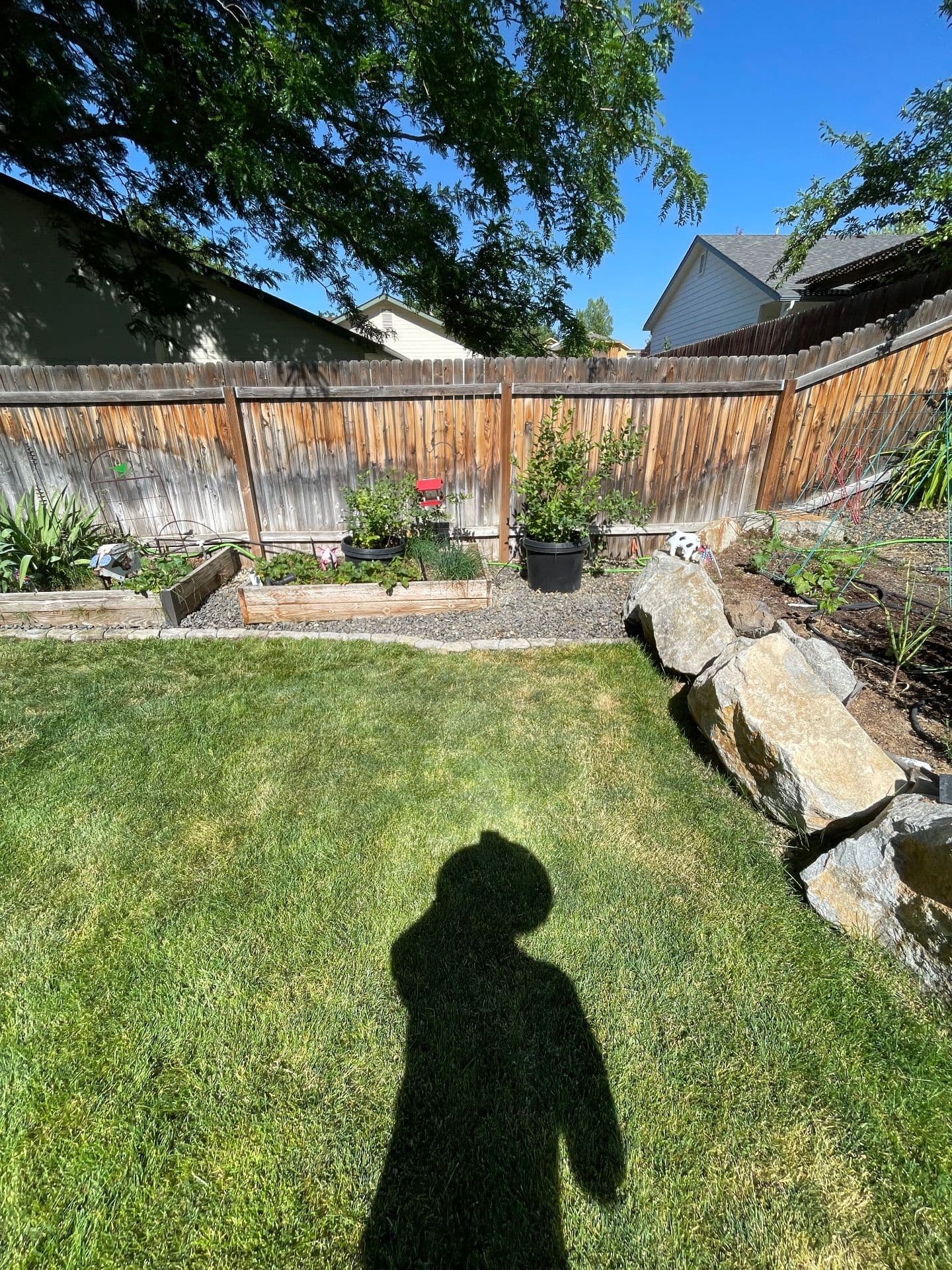 Stunning Stone Edging and Garden Transformation