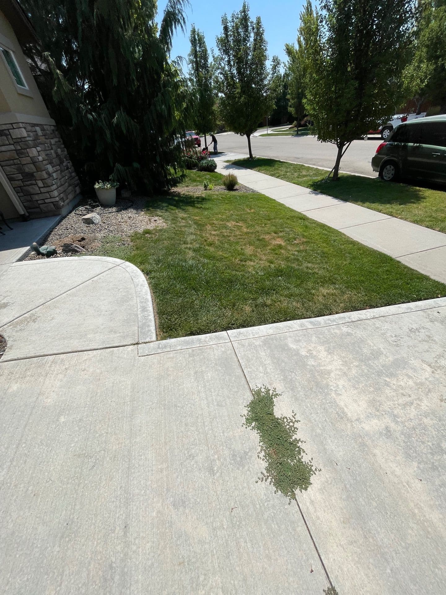 Gallery photos for Low-Maintenance Desert Landscape Transformation: Image #4