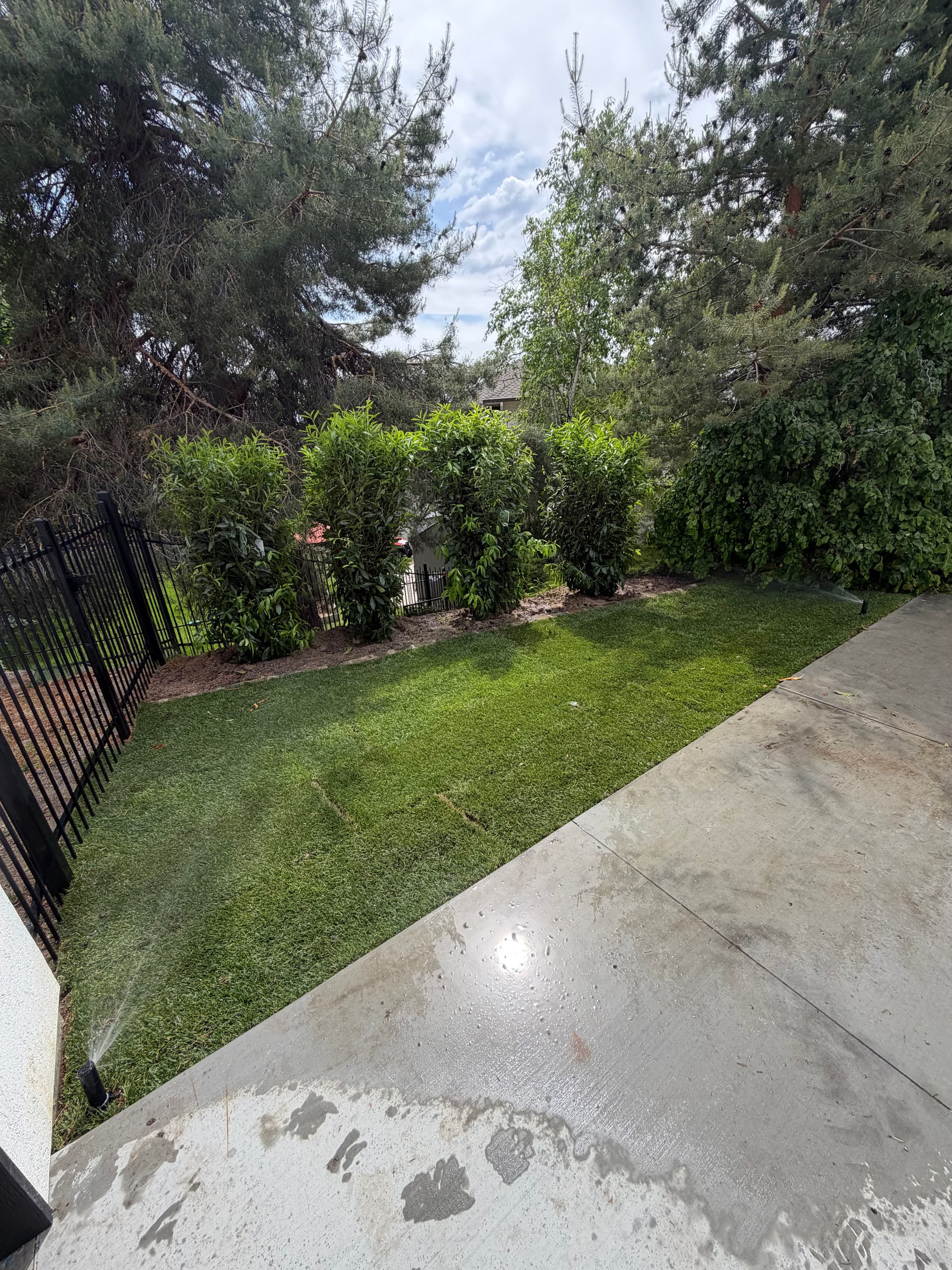Sod, Privacy Shrubs and Fresh Flower Beds That Actually Tie Together image