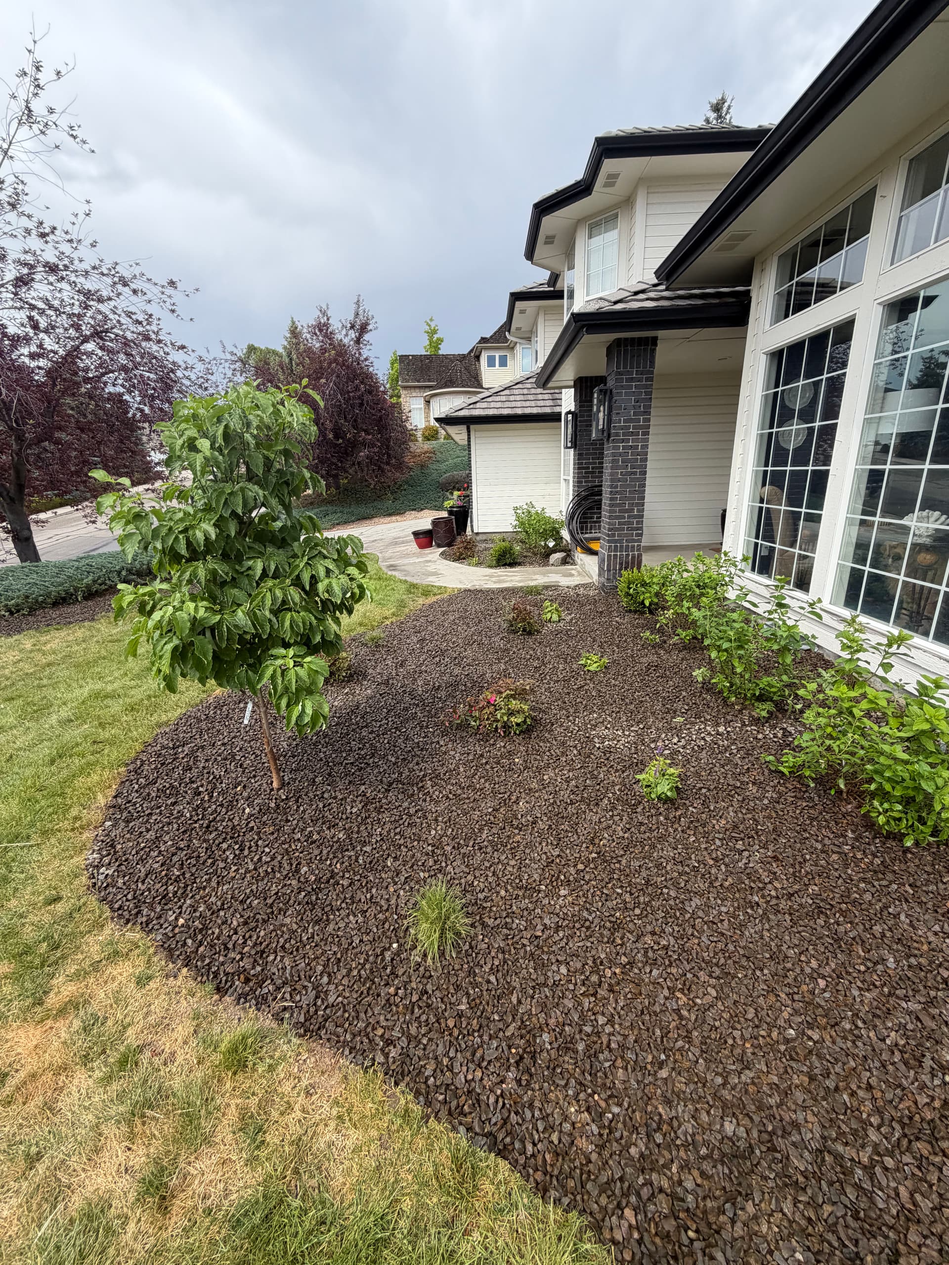 Gallery photos for Sod, Privacy Shrubs and Fresh Flower Beds That Actually Tie Together: Image #1