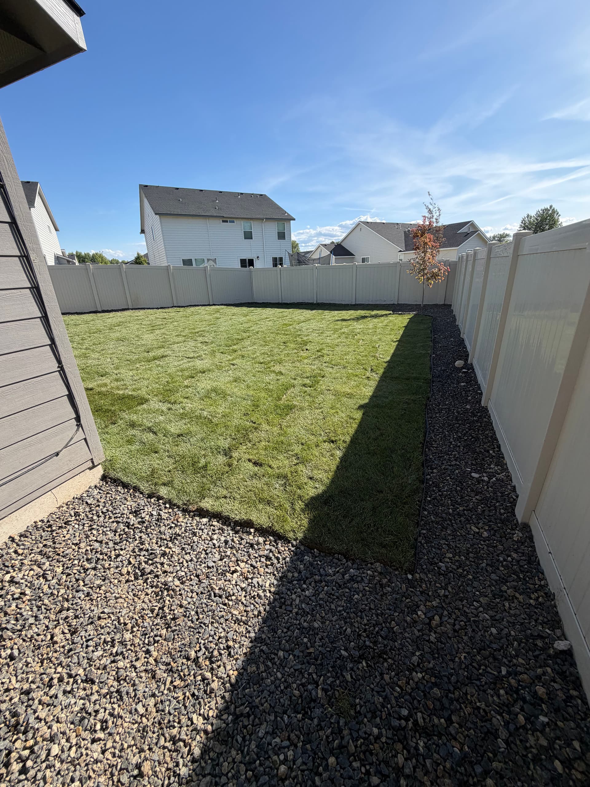 Weeds and Dirt Turned Into a Backyard Worth Using image