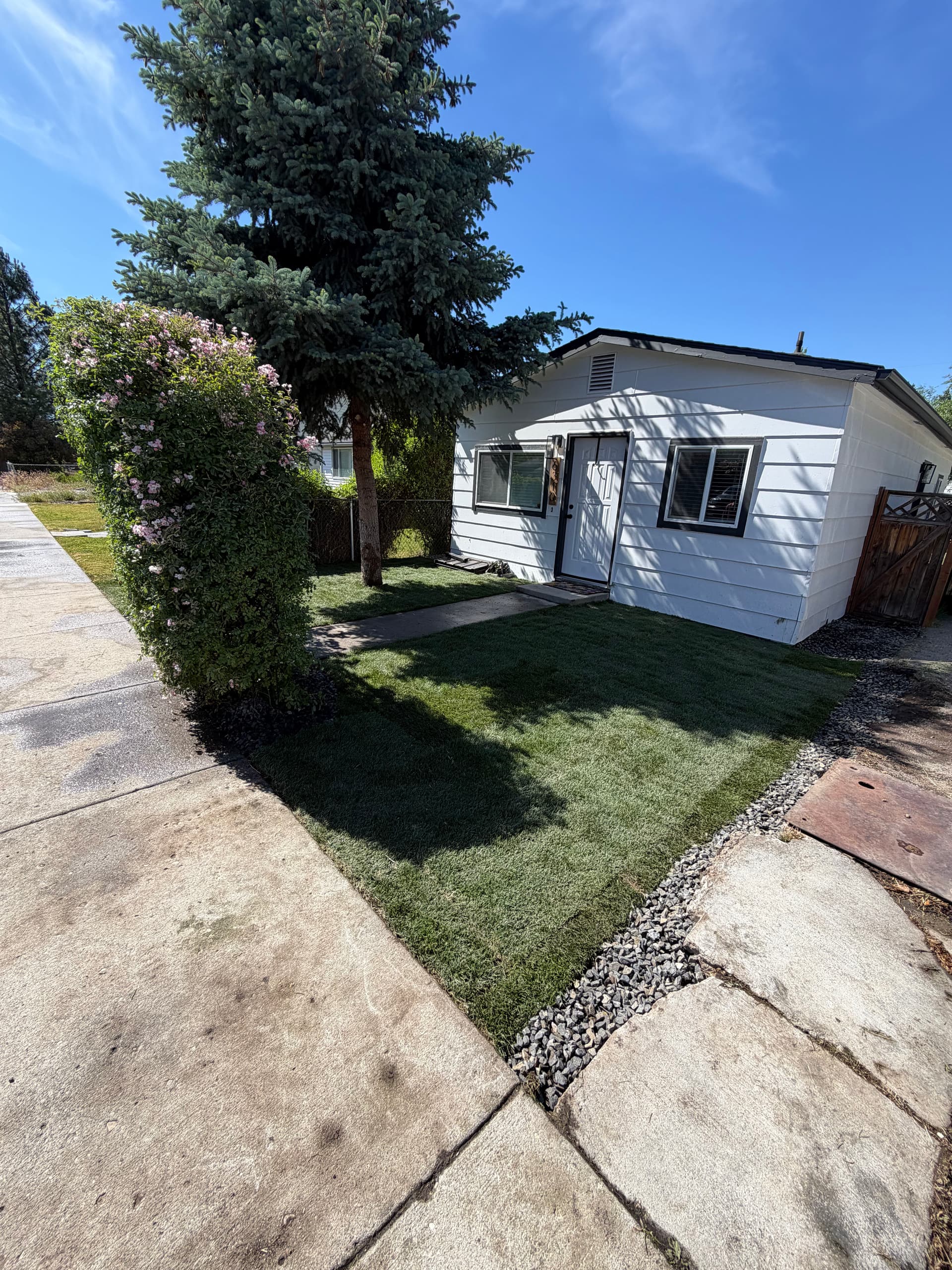 Gallery photos for Overgrown Front Yard Gets Fresh Sod and a Clean Start: Image #5