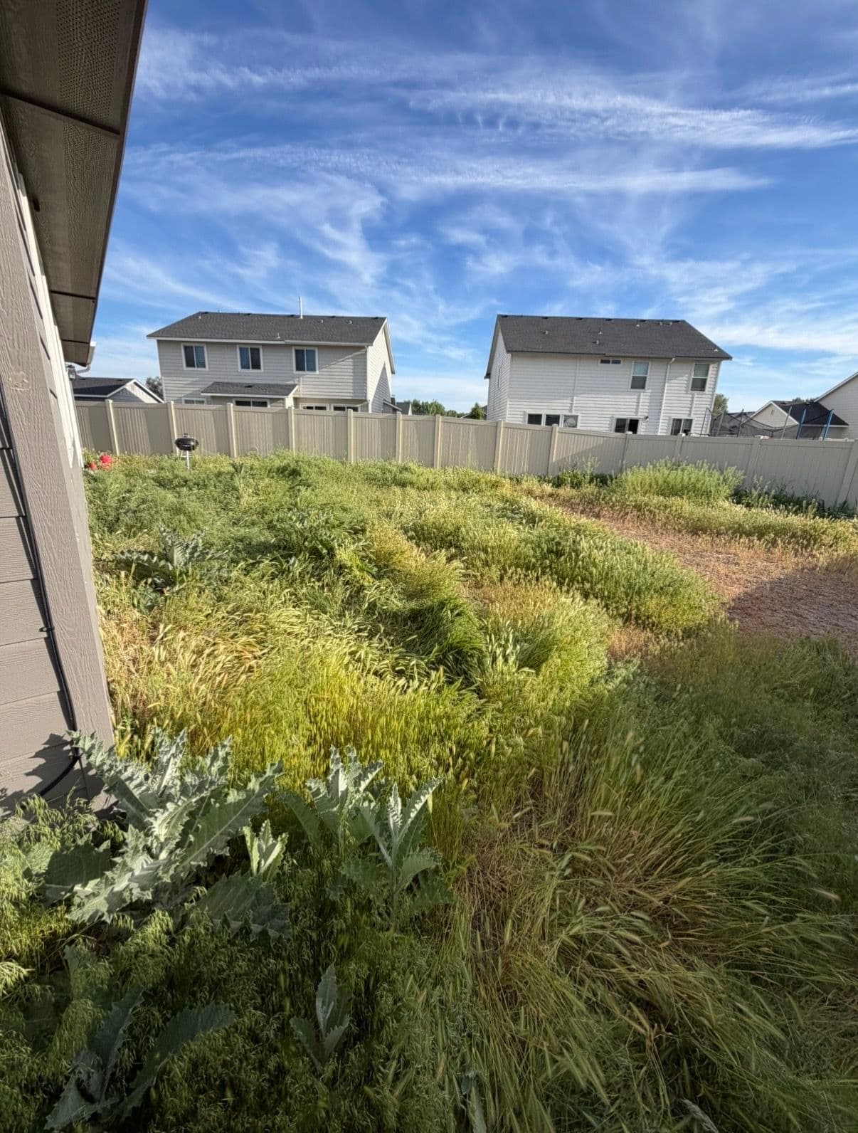 Gallery photos for Weeds and Dirt Turned Into a Backyard Worth Using: Image #1