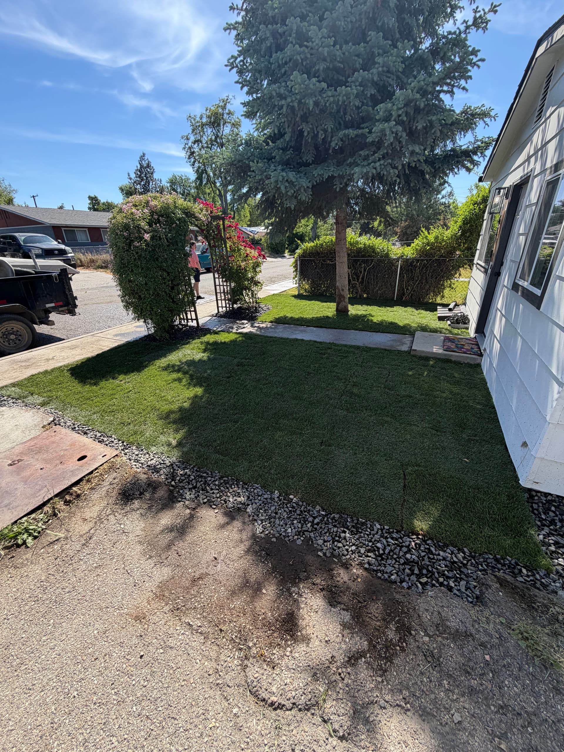 Gallery photos for Overgrown Front Yard Gets Fresh Sod and a Clean Start: Image #6