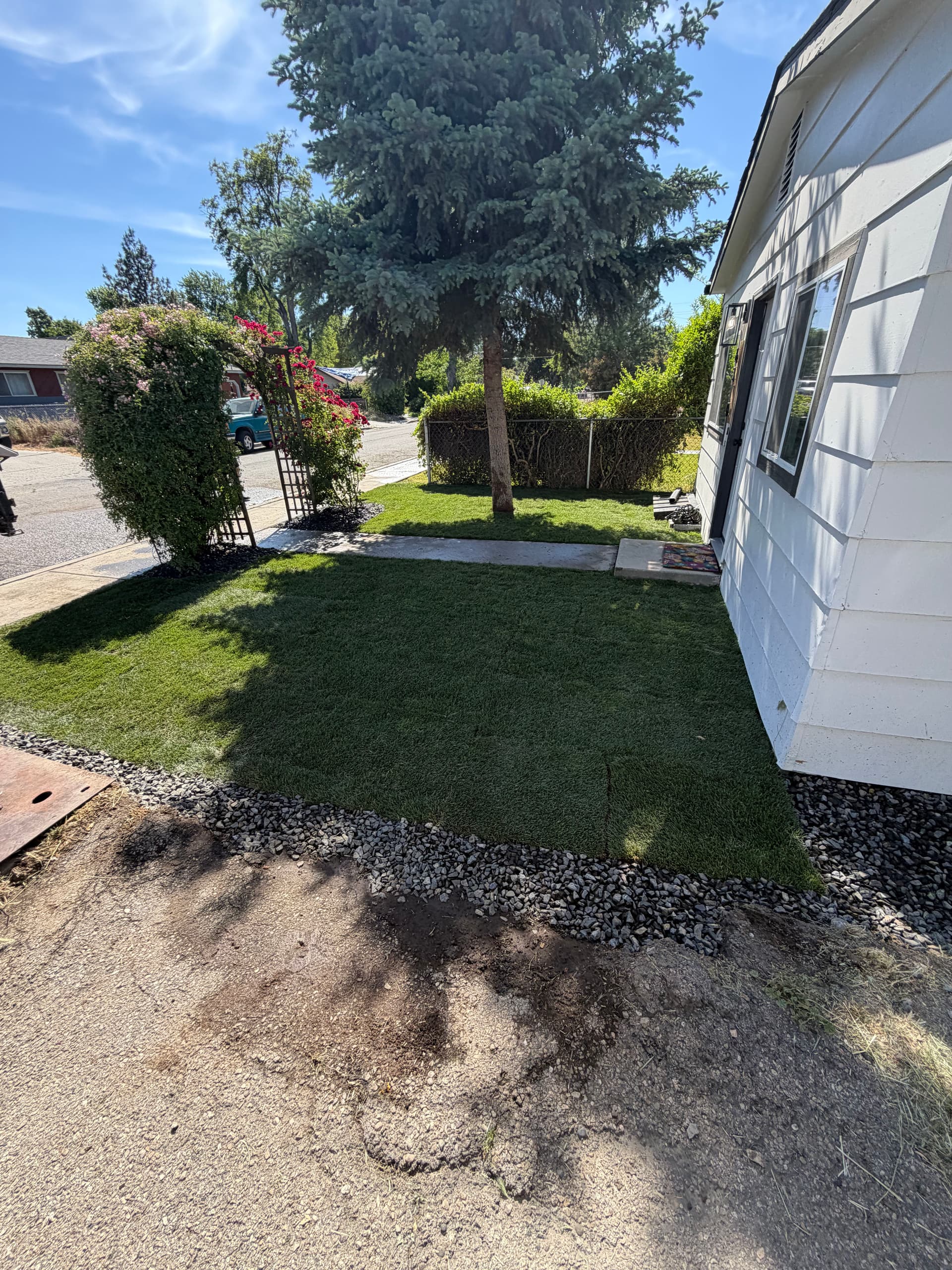 Gallery photos for Overgrown Front Yard Gets Fresh Sod and a Clean Start: Image #2