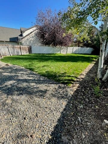 Transformative Rock and Sod Makeover in Backyard image