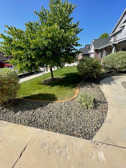 Project Stunning Outdoor Transformation with Curb Appeal image