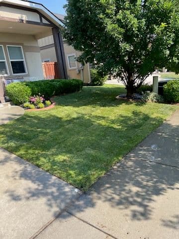 Transform Your Yard with Expert Sod Installation image