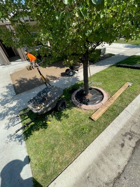 Gallery photos for Transform Your Yard with Expert Sod Installation: Image #3