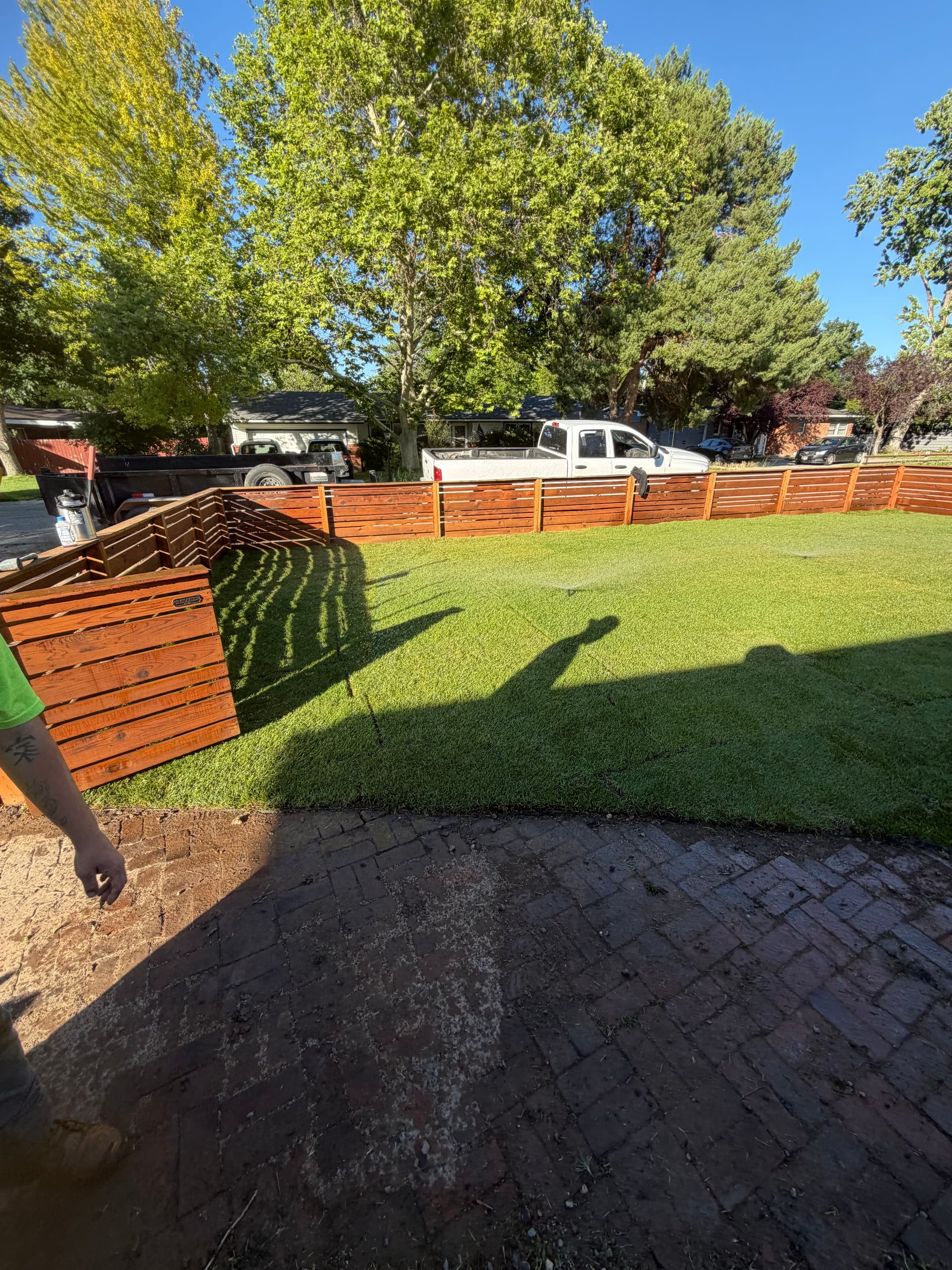 Gallery photos for From Overgrown Mess to a Clean, Usable Front Yard: Image #3