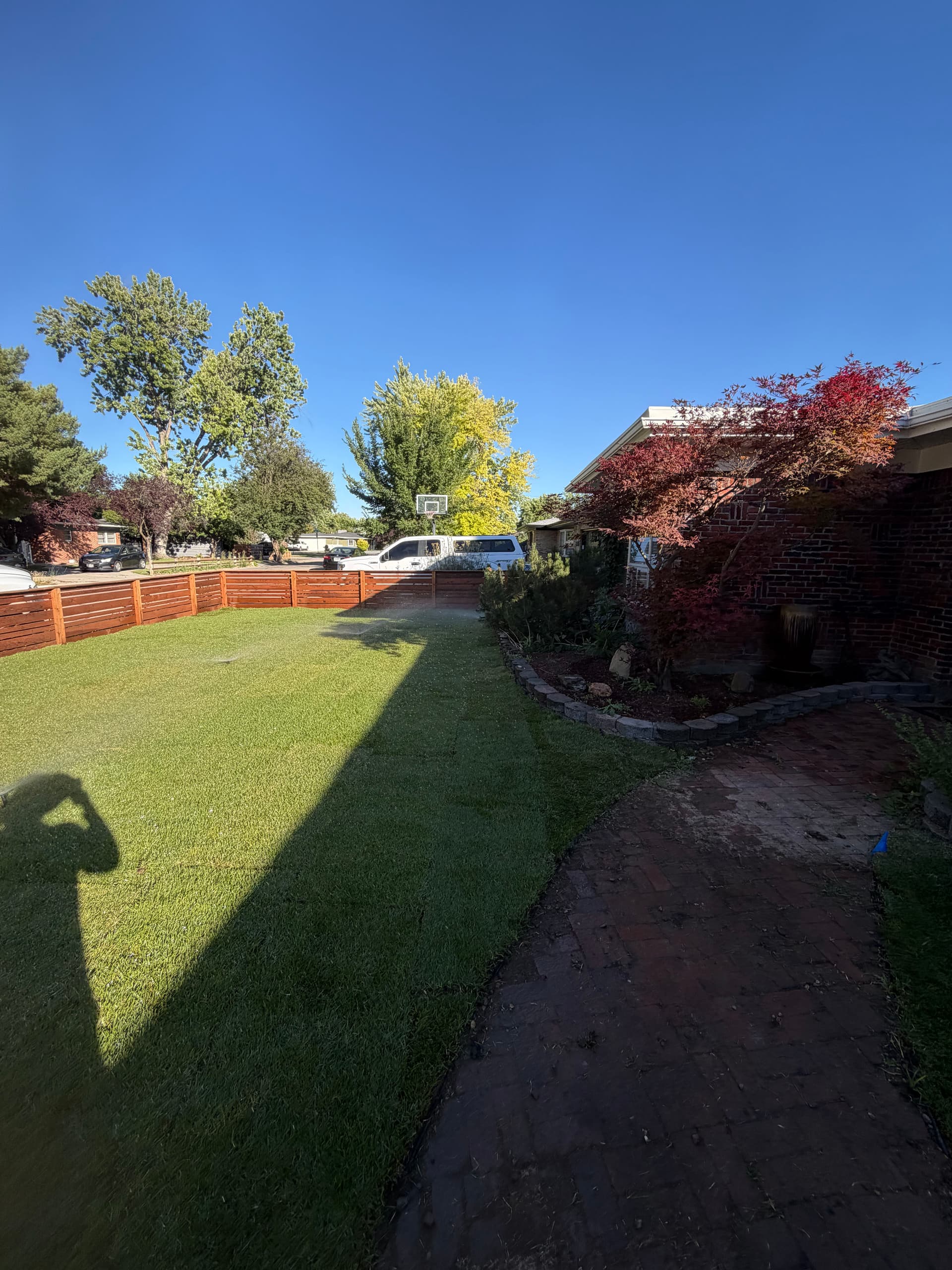 Gallery photos for From Overgrown Mess to a Clean, Usable Front Yard: Image #6