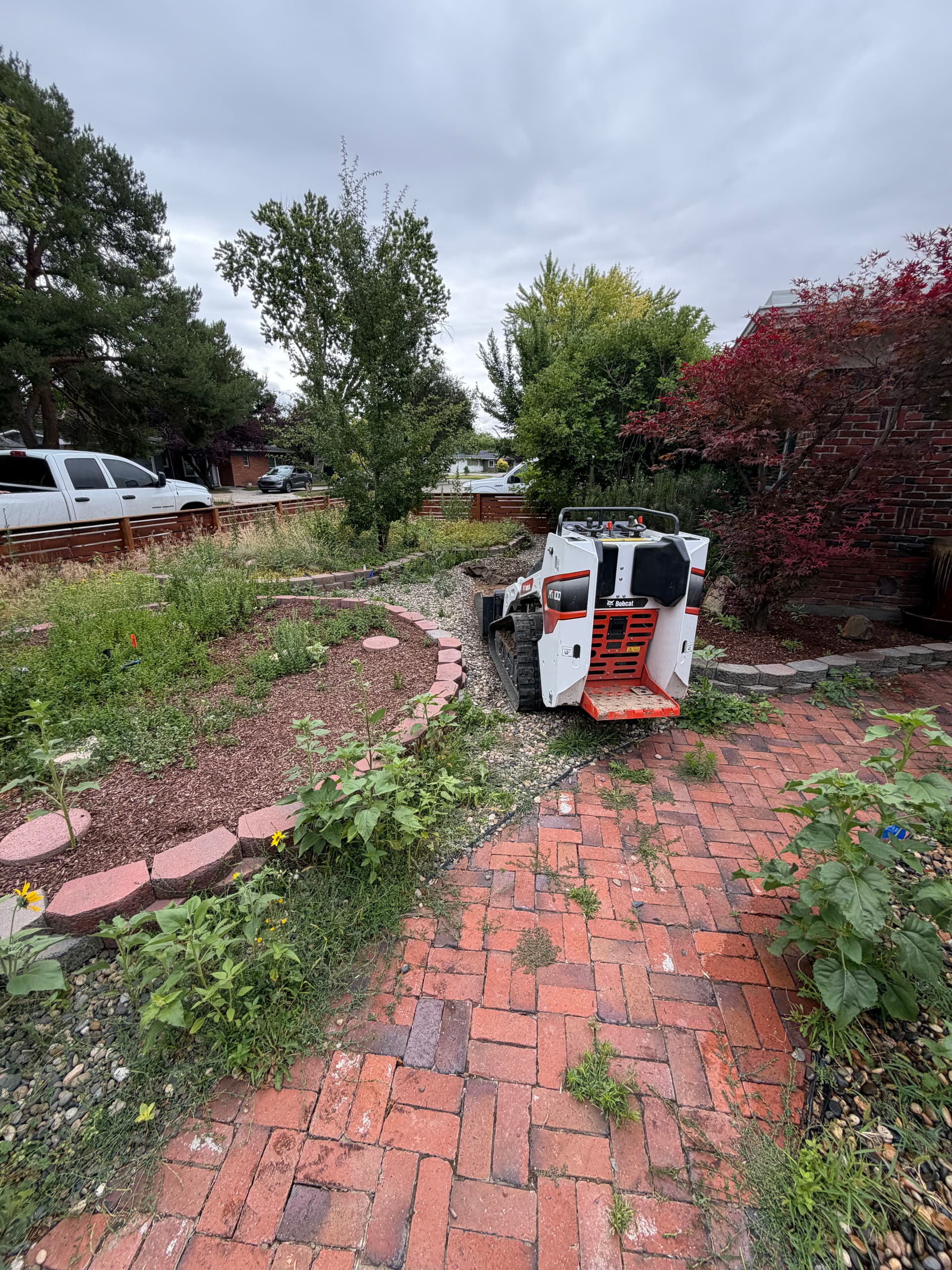 Gallery photos for From Overgrown Mess to a Clean, Usable Front Yard: Image #1