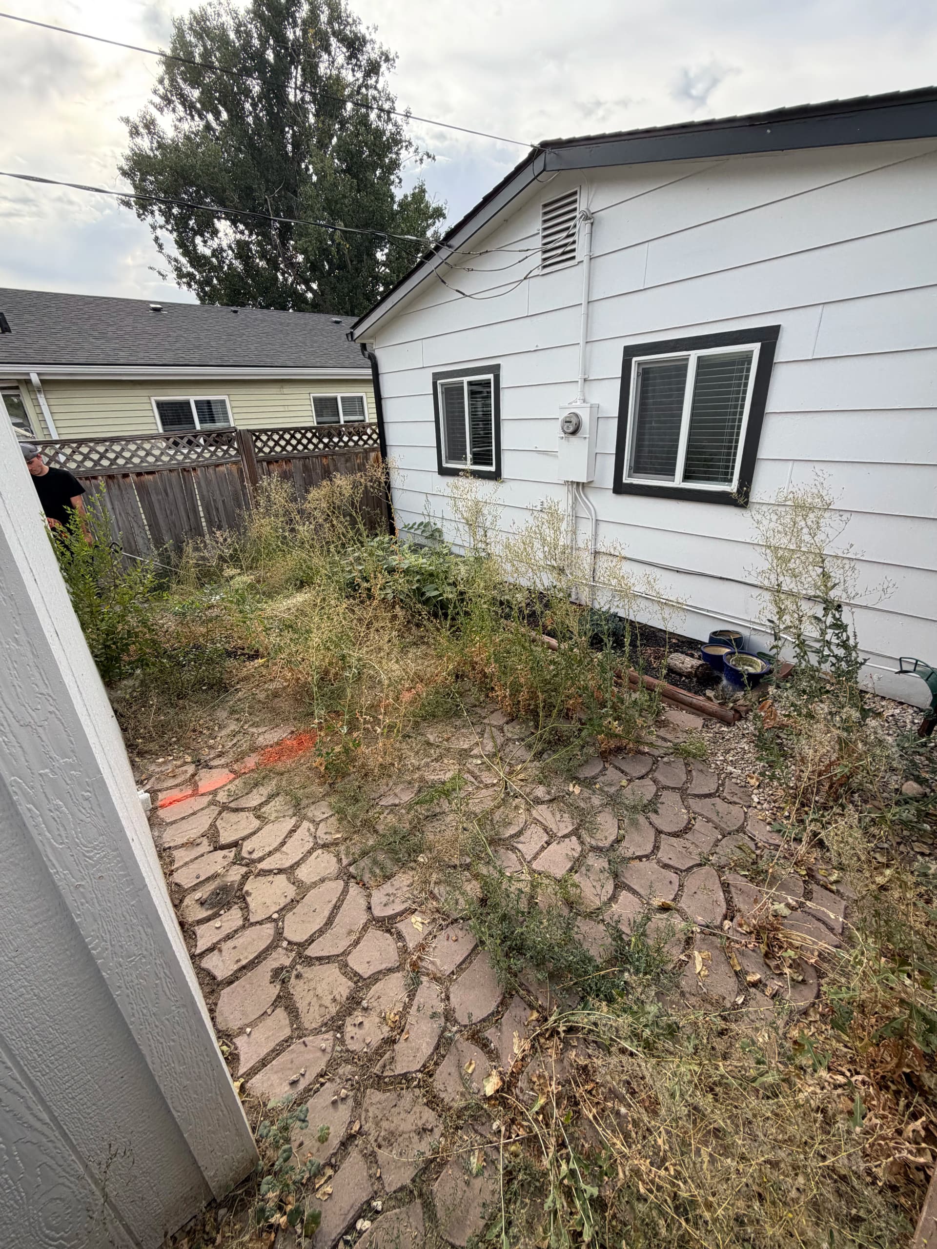 Gallery photos for Overgrown Backyard Turned Into a Clean Low-Maintenance Outdoor Space: Image #5