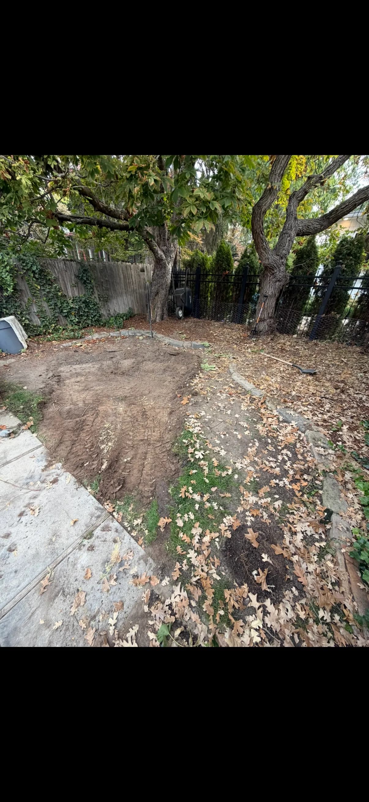 Gallery photos for From Dirt and Leaves to a Paver Patio Worth Using: Image #1
