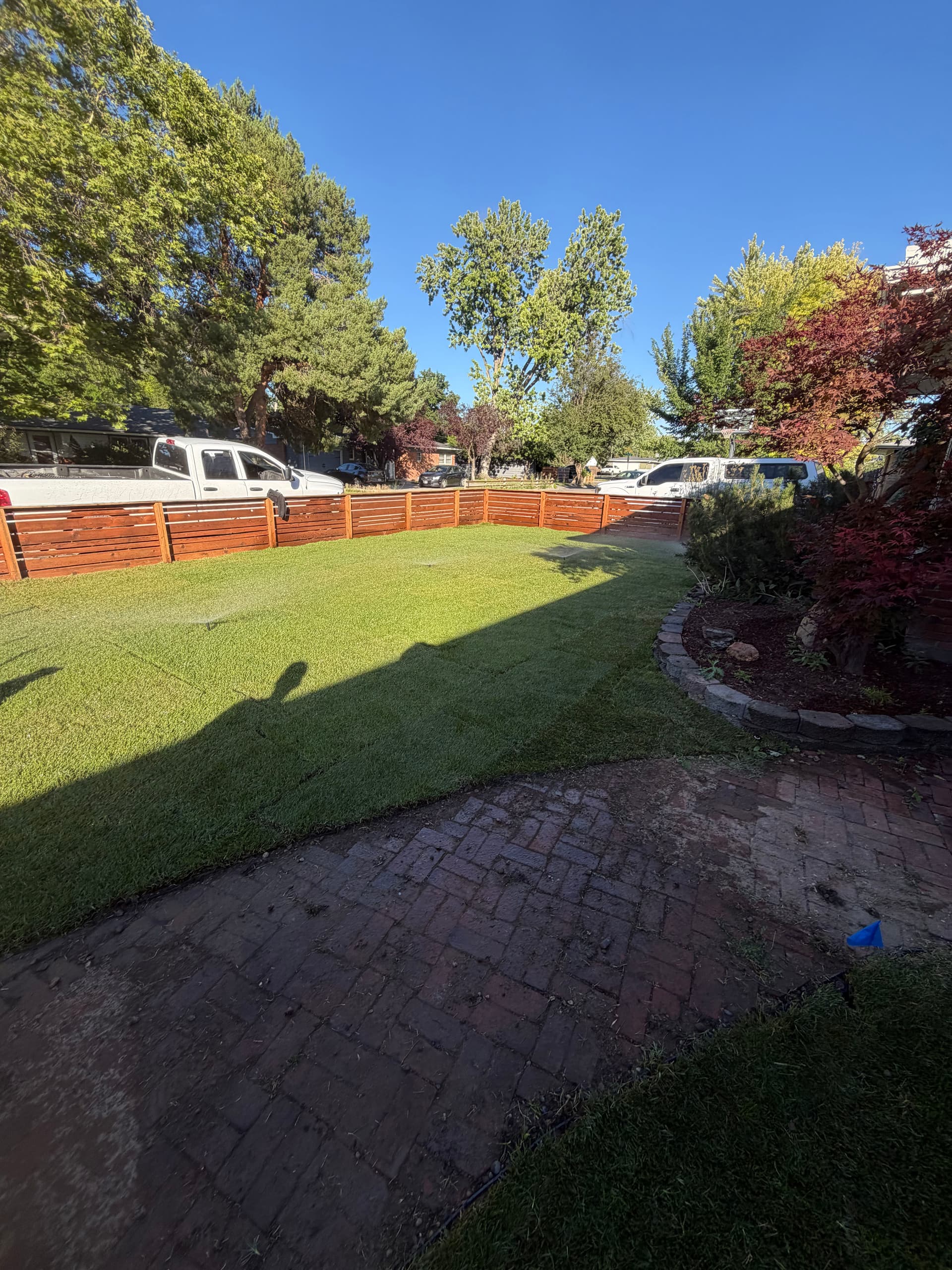 From Overgrown Mess to a Clean, Usable Front Yard image