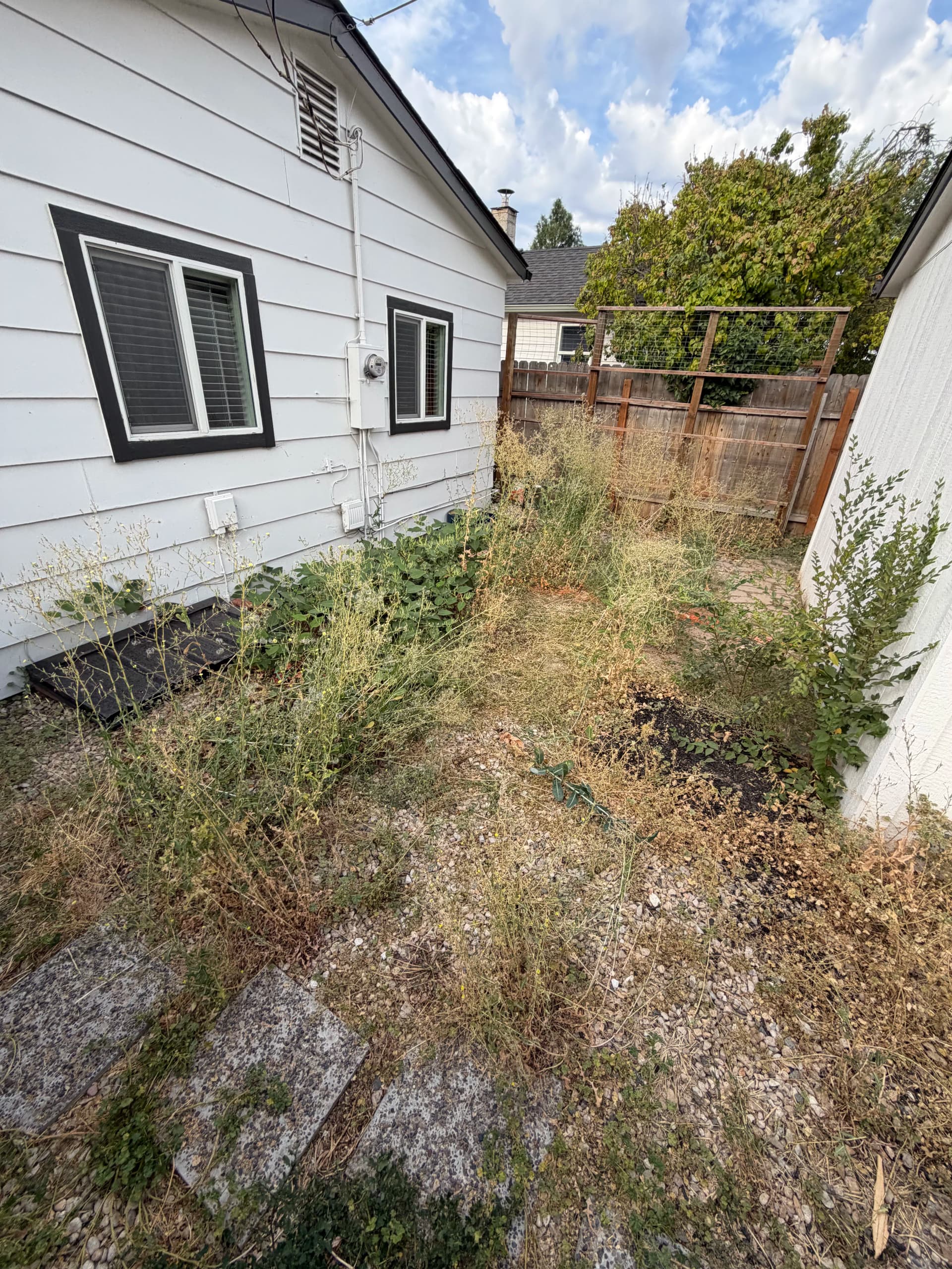 Gallery photos for Overgrown Backyard Turned Into a Clean Low-Maintenance Outdoor Space: Image #3