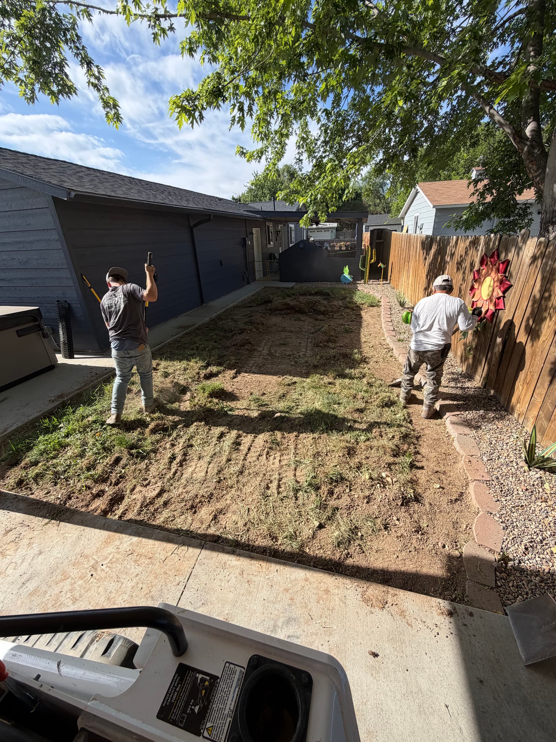 Gallery photos for From Patchy Dirt to Lush Green with Artificial Turf: Image #1