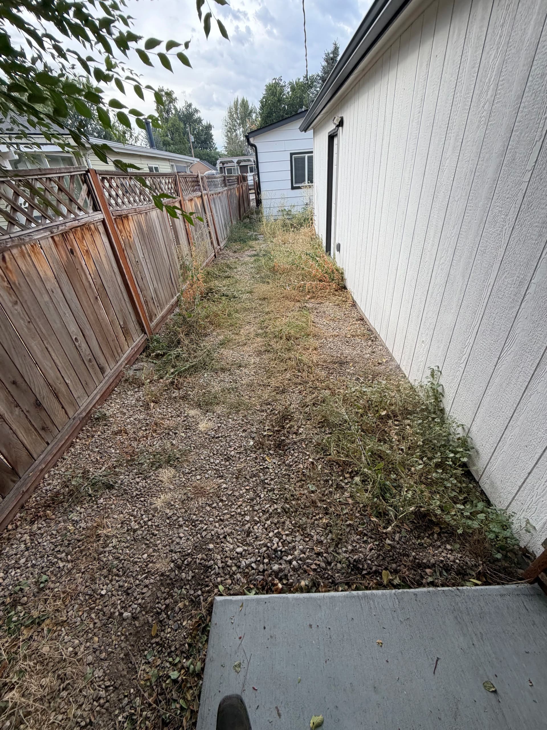 Gallery photos for Overgrown Backyard Turned Into a Clean Low-Maintenance Outdoor Space: Image #1