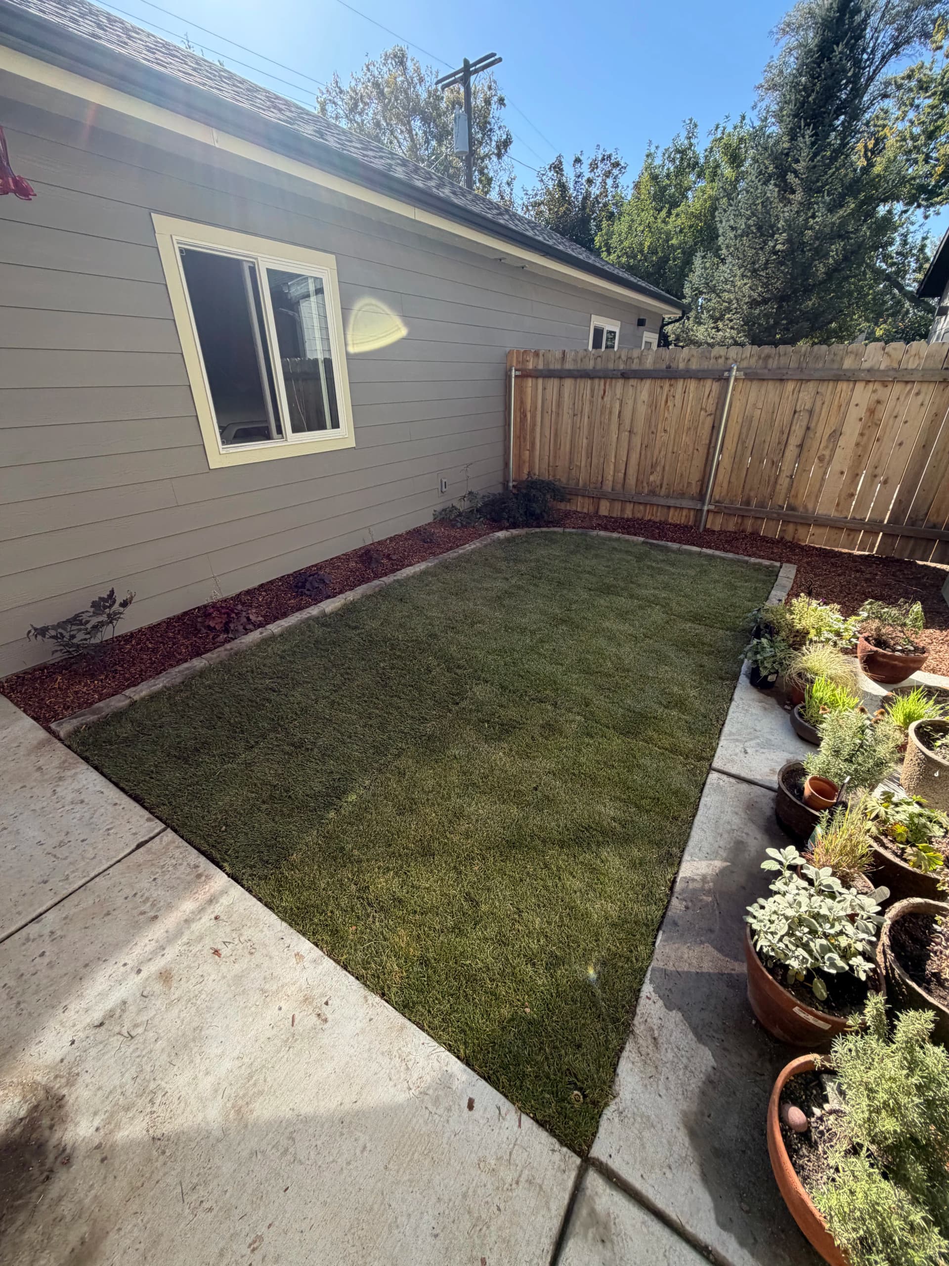 Gallery photos for Sod, Mulch, Pavers and Shrubs Done Right From Front to Back: Image #6