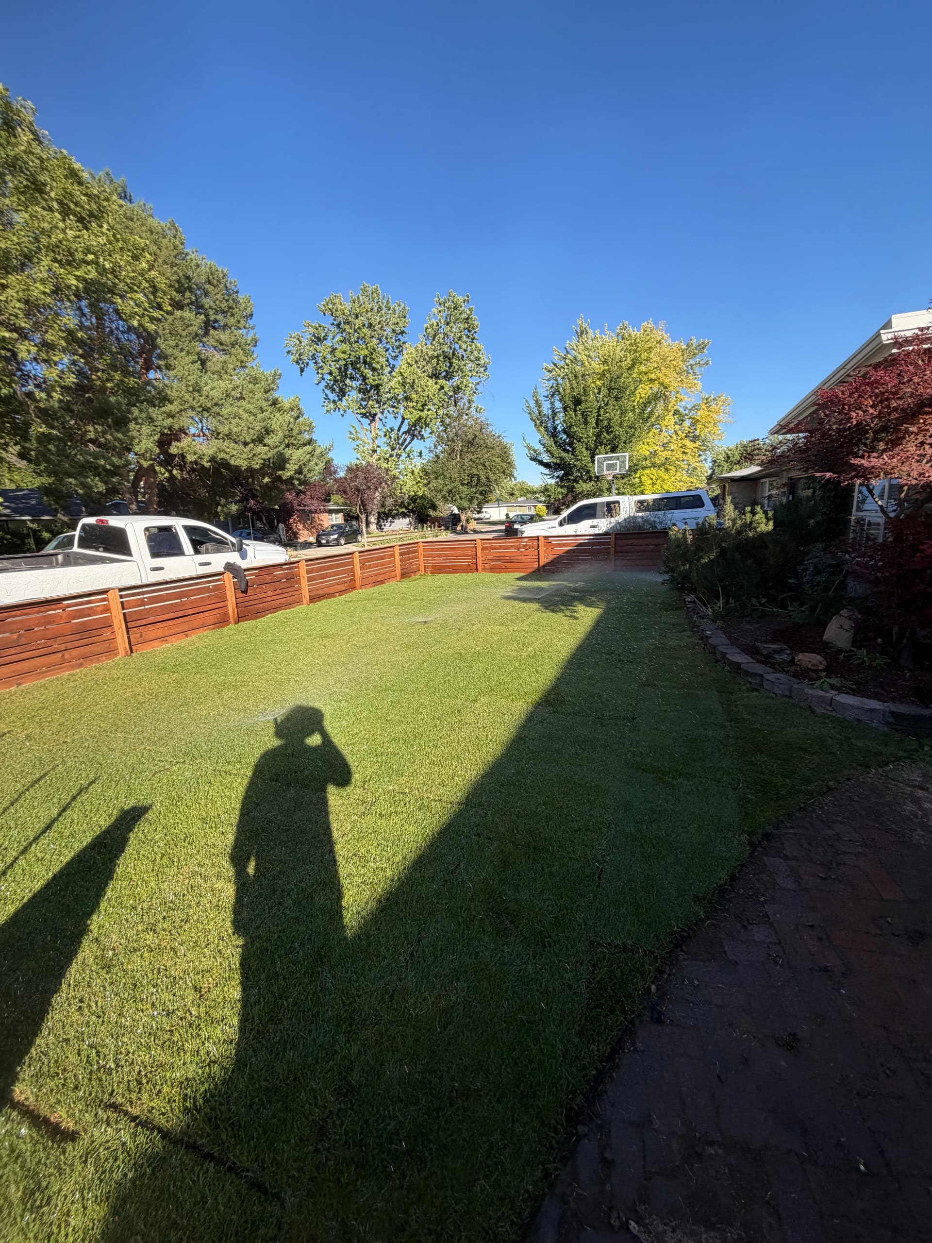 Gallery photos for From Overgrown Mess to a Clean, Usable Front Yard: Image #5